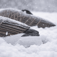 Sleeper Canada Shells | Realistic Resting Goose Decoys – Dive Bomb ...