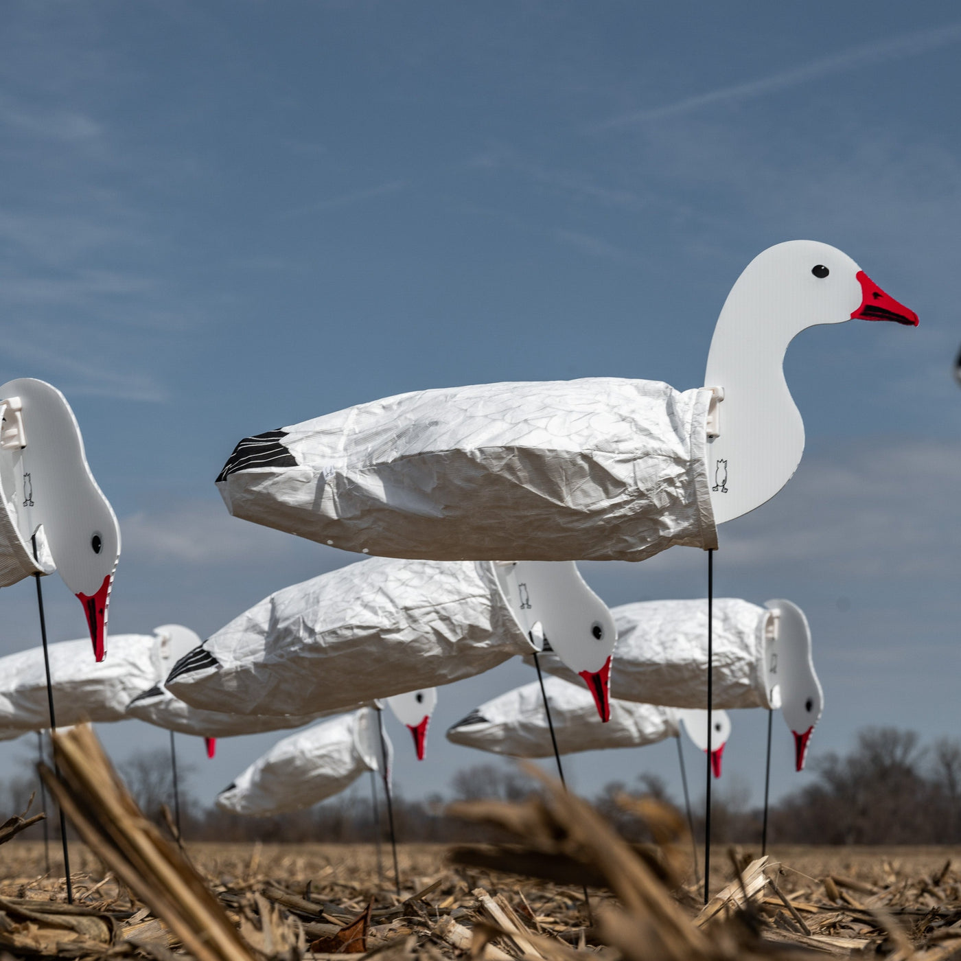 S3i Snow Goose Socks