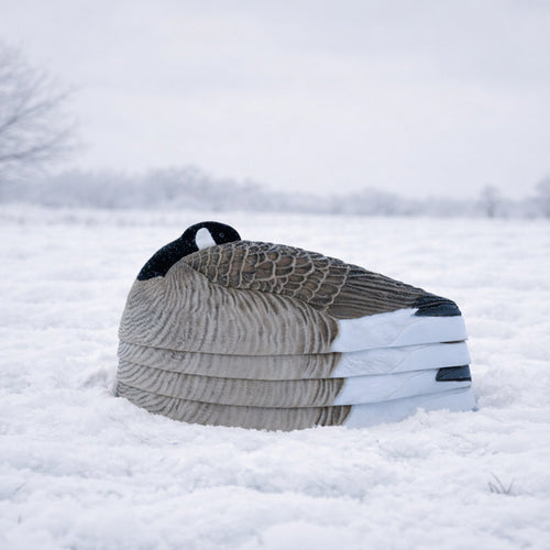 Sleeper Canada Shells | Realistic Resting Goose Decoys – Dive Bomb ...