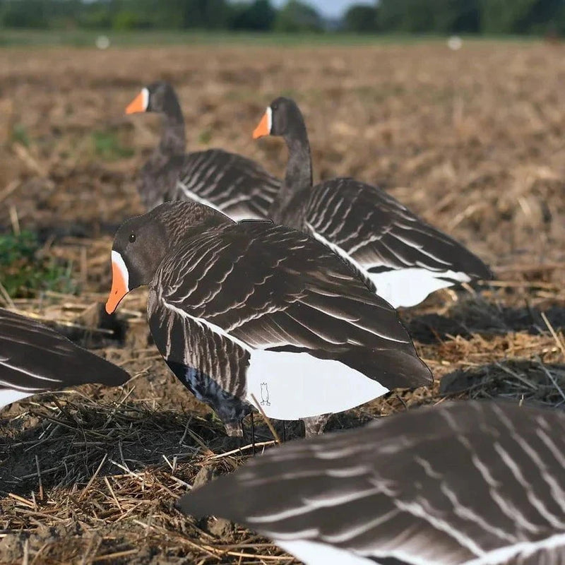 Specklebelly Goose Silhouettes 1 dz