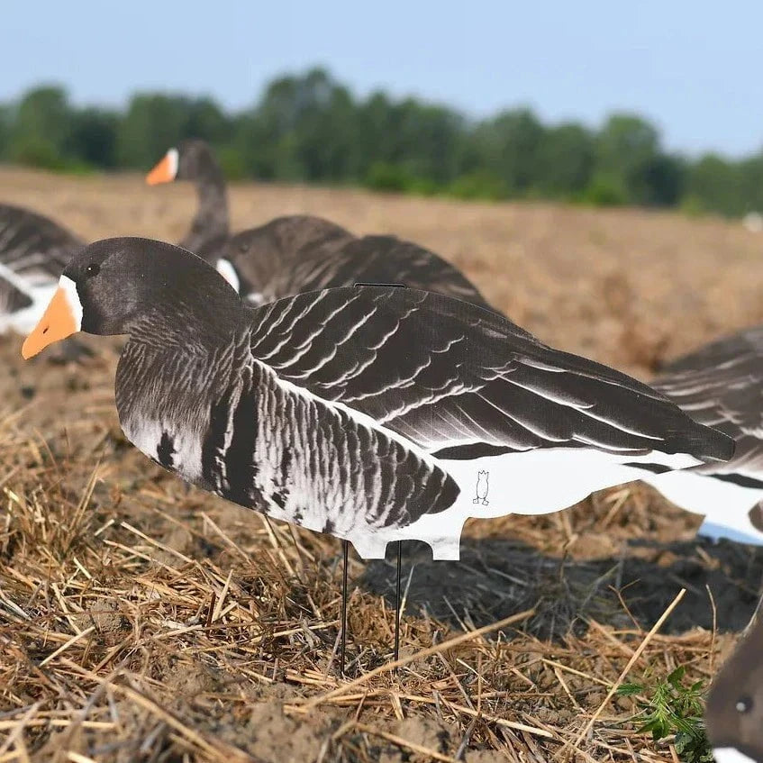 Specklebelly Goose Silhouettes 1 dz