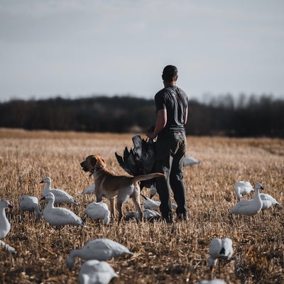 FB Snow Goose Full Bodies