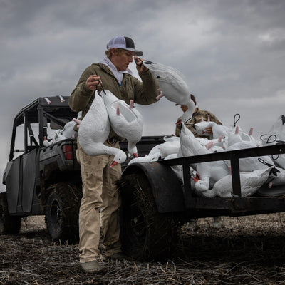 FB Snow Goose Full Bodies