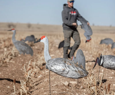 S3i Sandhill Crane Socks