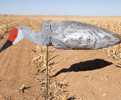S3i Sandhill Crane Socks