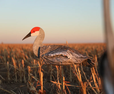 S3i Sandhill Crane Socks