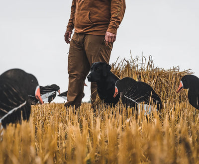 Field Dog Blind