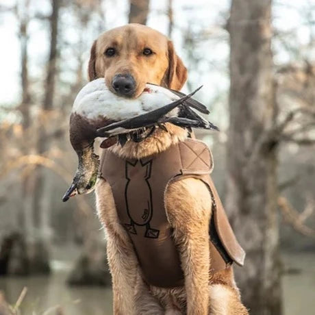 Adjustable Dog Vest