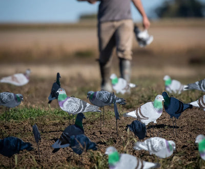 G1 Pigeon Silhouettes