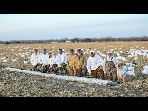 S3i Snow Goose Socks