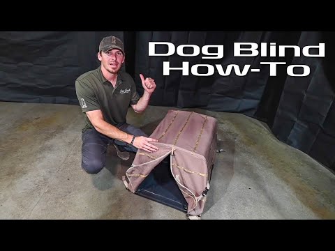 Field Dog Blind