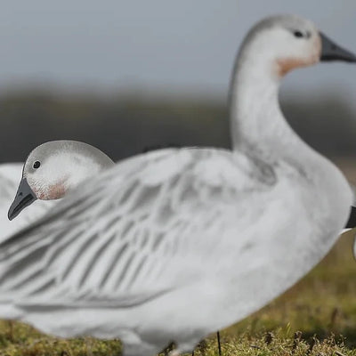 V2 Juvie Goose Silhouettes