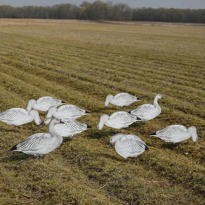V2 Juvie Goose Silhouettes