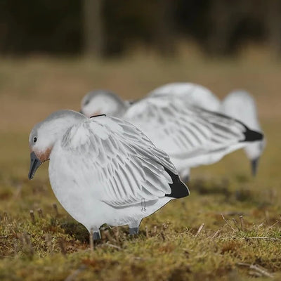 V2 Juvie Goose Silhouettes