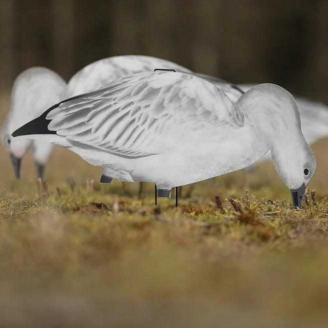V2 Juvie Goose Silhouettes