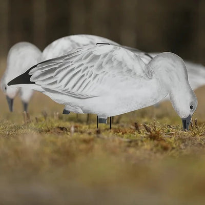 V2 Juvie Goose Silhouettes