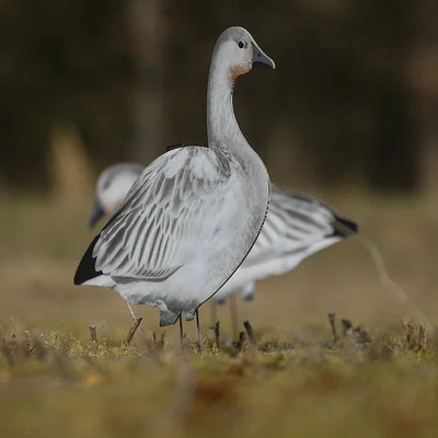 V2 Juvie Goose Silhouettes