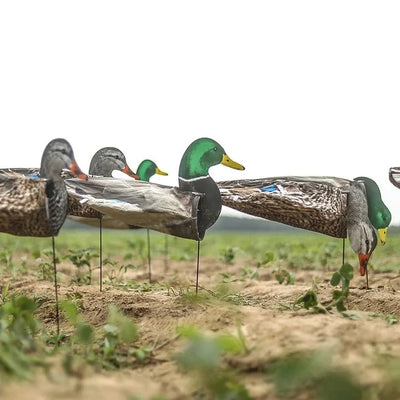S3i Mallard Socks