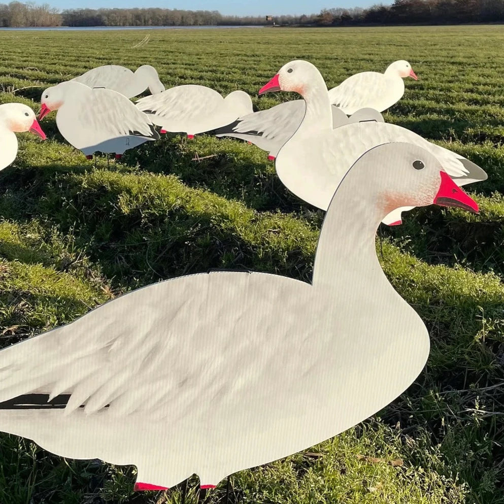 V2 Snow Goose Silhouettes