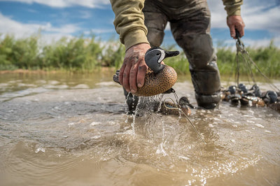 F1 Blue-Winged Teal Floaters