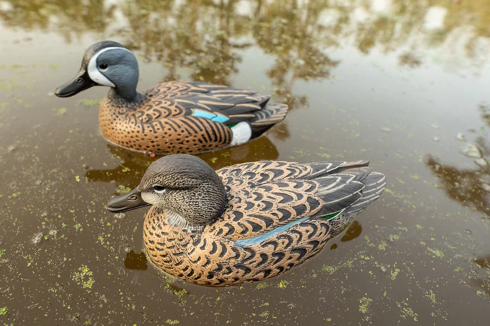 F1 Blue-Winged Teal Floaters