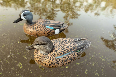 F1 Blue-Winged Teal Floaters