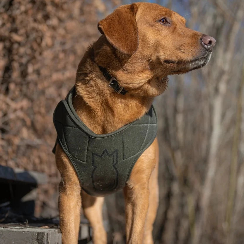 Adjustable Dog Vest