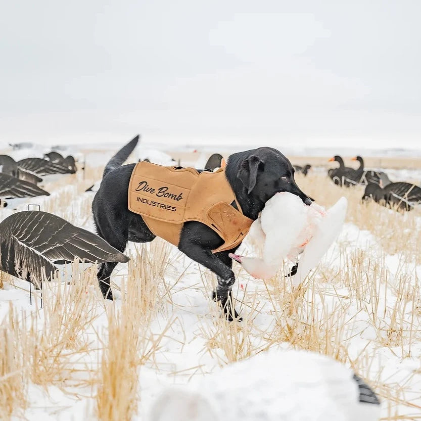 Adjustable Dog Vest